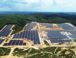 Hadirkan Green Energy Movement, PLN Nusantara Power Dorong Indonesia Lebih Hijau