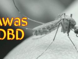 Waspada DBD, Kebersihan dan Fogging Belum Cukup