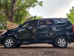 Mobil Terlaris November Adalah…