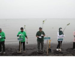 Wabup Timbul, Gus Haris, Dokter Mia Tanam Mangrove di Paiton