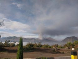 Bromo Keluar Asap Putih dan Kelabu, Disebut Bukan Erupsi, Wisatawan Diminta Jaga Jarak dari Kawah 