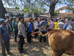 Kapolres Himbau Masyarakat Tidak Panik Wabah PMK, Kerahkan Jajaran Lakukan Pengecekan