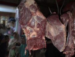 Warga Probolinggo Takut Konsumsi Daging Sapi Imbas PMK