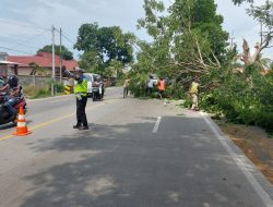 Antisipasi Pohon Tumbang saat Musim Hujan, Satlantas Bantu Pangkas Ranting Pohon di Gending