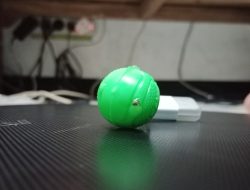 8 Cara Potret Foto Bokeh dengan HP Android