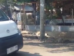 Pengaduan Pasar Semampir Direspon Lebih Cepat, Warga pun Lebih Suka Mengadu ke Lapor Kand4