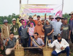PE-POMI Tanam 34 Ribu Pohon Gamal di Gading