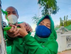 Sekda dan Kepala DLH Cabut Paku di Pohon