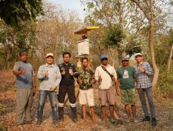 Sensor Gerak Amankan Sawah 4,5 Hektare dari Serangan Hama Babi, Inovasi Pertama di Probolinggo