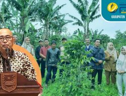 Melihat Hasil Peti Koin Bermantra di Kabupaten Probolinggo, Tingkatkan Perekonomian dan Jadi Rujukan 19 Pemda
