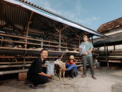 Kontinyu Ciptakan Nilai Ekonomi dan Sosial Berkelanjutan, PLN Nusantara Power Borong 9 Penghargaan TOP CSR