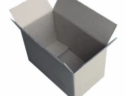 Bayi Dibuang di Kardus, Ditolong lalu Meninggal