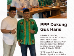 PPP Dukung Gus Haris
