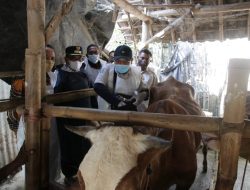 Obat PMK dari BTT Capai Rp 4 Miliar