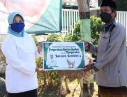 Plt Kabag Kesra Nari: Penyaluran 31 Hewan Kurban Ditarget Sehari
