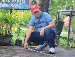 Pintu TWSL Kurang Lebar, Kalau Perlu Bikin 4 Meter