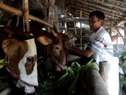 Maryoto: Penunjukan Langsung Hanya untuk Barang Bersifat Segera dan Darurat