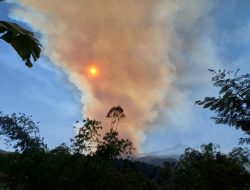 Gunung Argopuro Terbakar, Terdeteksi Lewat Aplikasi