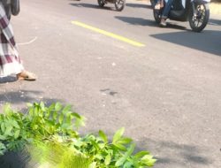 Salip Truk Lalu Tabrak Pohon,  Pengendara Perempuan di Probolinggo Tewas Terlindas