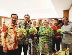 Potensi Pisang Mas Kirana Lumajang Masuk Pasar Internasional