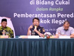 Oh, Begini Rantai Rokok Ilegal…
