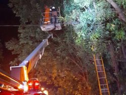 Pria Tewas di Atas Pohon Kedungasem