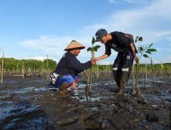 Paiton Energy-POMI Gelar Gaya Hidup Hijau dan Tanam 15.000 Bibit Mangrove