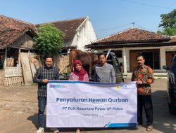 PT PLN Nusantara Power UP Paiton Salurkan Belasan Ekor Hewan Kurban di Dua Kabupaten