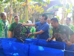 Pemkot Gelar Sekolah Lapang Budidaya Ikan Lele di Ponpes