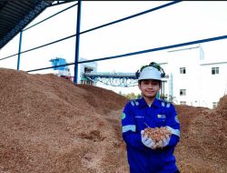 Produksi Energi Hijau Dua Kali Lipat, PLN Nusantara Power Hasilkan 525,62 GWh