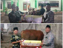 Prabowo Kirim Sapi Kurban ke Nurul Jadid dan Genggong