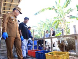 Pemkot Probolinggo Gelar Inspeksi Hewan Ternak Jelang Idul Adha 2025