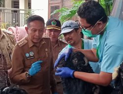 Wali Kota Malang Tinjau Lapak Hewan Kurban, Pastikan Kesehatan dan Kelayakan Jelang Idul Adha 2025