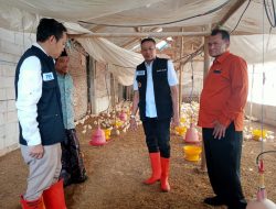 Pantau Hulu Produksi, Wali Kota Malang dan TPID Siapkan Strategi Tekan Harga Cabai dan Ayam Jelang Lebaran 2026