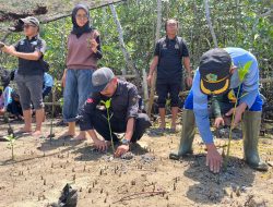 Peduli Lingkungan, AJP Lepas Burung dan Tanam Mangrove di Ekowisata Lembung Galis
