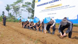 Dukung Ketahanan Pangan, Ditjenpas Jatim Tanam Kacang dan Panen Telur di SAE Ngajum Malang