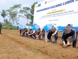 Dukung Ketahanan Pangan, Ditjenpas Jatim Tanam Kacang dan Panen Telur di SAE Ngajum Malang