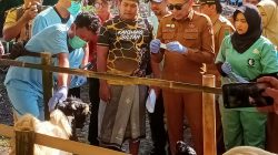 Jelang Idul Adha 1447 H, Wali Kota Malang Pastikan Kesehatan Hewan Kurban