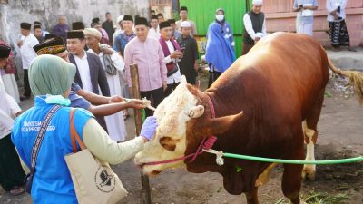 Sapi Milik Peternak Probolinggo Jadi Kurban Presiden Prabowo