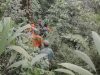 Insiden Jalur Ilegal Semeru, Satu Korban di Jurang Masih Dalam Proses Evakuasi