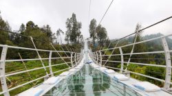 Jembatan Kaca Bromo Resmi Dibuka Akhir Juni! Siap Bikin Liburan Kamu Naik Level