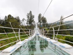 Jembatan Kaca Bromo Resmi Dibuka Akhir Juni! Siap Bikin Liburan Kamu Naik Level
