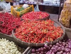 Harga Cabai di Pasar Besar Kota Malang Turun, Libur Dapur SPPG Diduga Berpengaruh