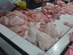 Harga Ayam Potong dan Telur di Pasar Besar Kota Malang Naik, Diduga Imbas Berjalannya Kembali Program MBG