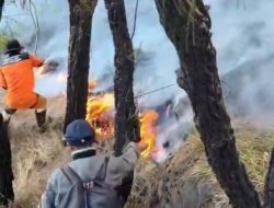 Karhutla di Tahura R. Soerjo Terkendali, Puluhan Personel dan Helikopter Dikerahkan