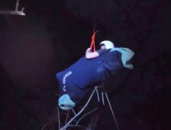 Tim SAR Evakuasi Paraglider Rusia dari Pohon Pinus Setinggi 20 Meter di Batu