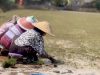 Potensi Desa Sukolilo Malang: Dari Pelestarian Budaya, Kampung Pancasila, hingga Ekspor Rumput Hias