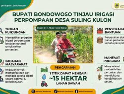 Bupati Bondowoso Tinjau Irigasi Perpompaan di Desa Suling Kulon