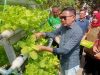 Realisasi Program RT Berkelas Capai 70 Persen, Wali Kota Malang Panen Selada dan Kasih Makan Ikan Budidaya
