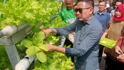 Realisasi Program RT Berkelas Capai 70 Persen, Wali Kota Malang Panen Selada dan Kasih Makan Ikan Budidaya